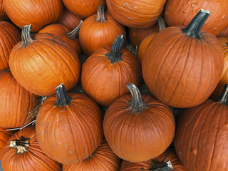 Festive pile of orange autumn pumpkins at a farmer’s market ready for halloween holiday