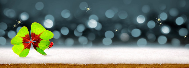 New year background with four leaf clover and ladybird. © Swetlana Wall