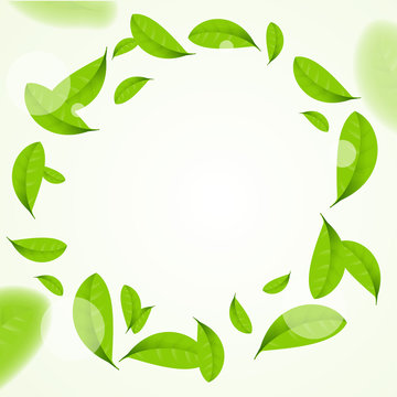 Realistic Green Leaves Circle Frame Background. Vector