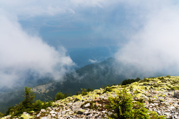 The view from the top of the mountain