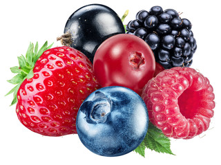 Berries on a white background. File contains clipping paths.