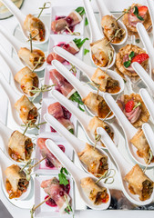 Gourmet appetizers: caviar, venison, tuna and salmon.