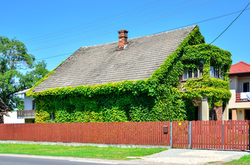 Creatively decorated old house. Old house in green leaf.