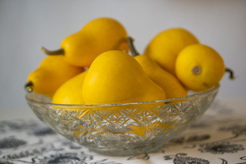 Close up of bowl yellow decorative pumpkin, gourd, on a white background. Autumn concept.
