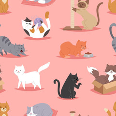 Verschillende katten kitty spelen defferent pose karakter illustratie vector naadloze patroon achtergrond