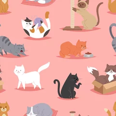 Wallpaper murals Cats Different cats kitty play defferent pose character illustration vector seamless pattern background