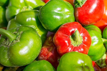 Close up of many ripe round colorer pepper, rain traces. Shallow dept of field. Copy space.