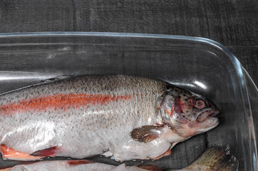 raw trout, fish in a glass  baking dish top view