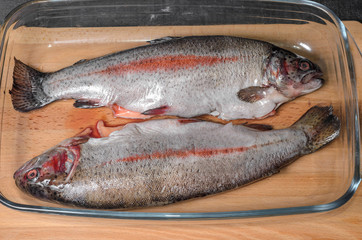 raw trout, fish in a glass  baking dish top view