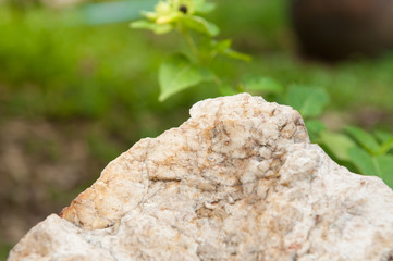 Stone in the park.