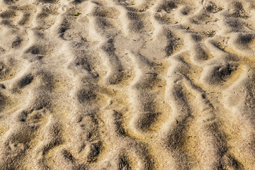 Beautiful sand formations have emerged at sea