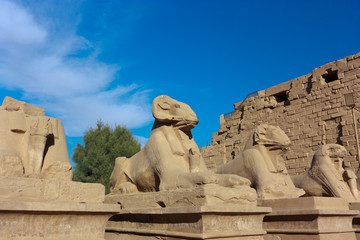 Fototapeta na wymiar Ancient statues at Luxor Temple in Egypt
