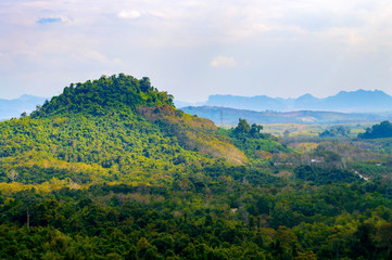 Green Mountain landscape in Thailand