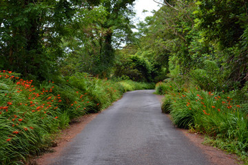 Ring Of Kerry, Route Typique en Irlande, Eire