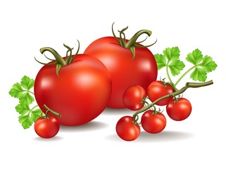 Tomatoes realistic Vector isolated on white