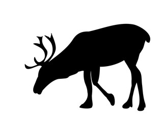  isolated silhouette of a reindeer