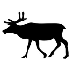  isolated silhouette reindeer walking