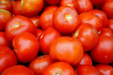 fresh and clean red tomato with sunshine in morning bazaar