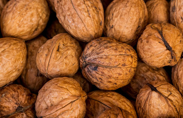 Raw walnuts in the dryer