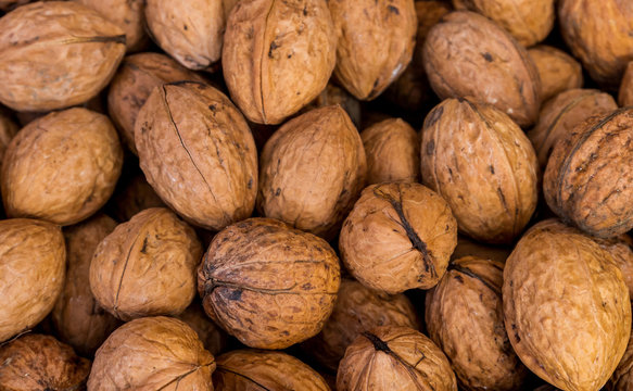 Raw Walnuts In The Dryer