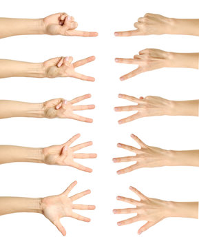 Female hand counting from one to five