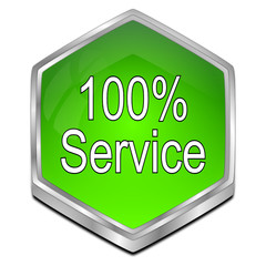 100% Service button - 3D illustration