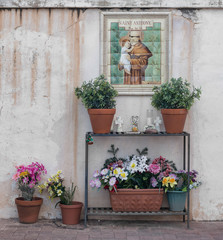 Fototapeta na wymiar Potted plants and flowers in the courtyard of the San Xavier del Bac mission church in Tucson, Arizona