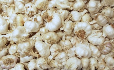 Pile of White Fresh Garlic for Background,Close Up Stack of White Fresh Garlic,Group of White Fresh Garlic,Top View of Fresh Garlic