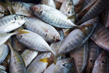 background of fresh fish for food preparation.