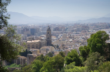 Santa Iglesia Cathedral Basilica in Malaga, Spain  