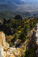 looking down on a mountainside with aspens in fall foliage and a big city down below