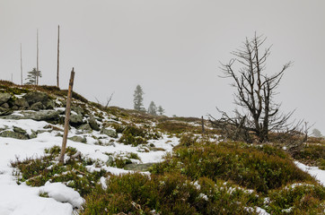 Winter with snow in Jeseniky, Czech Republic