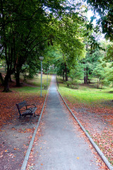 Park in autumn