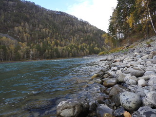 Green river in autumn. The wonderful view. The beggining of october. Landscape. Mountain. River's bank. Rocks.