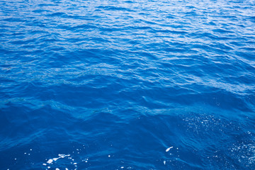 Fototapeta premium Turquoise sea water