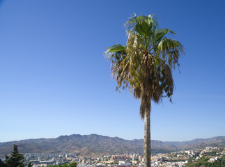 Fototapeta premium A view from the Gibralfaro Castle in Malaga, Andalusia, Spain 