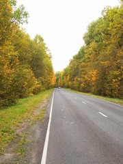 Autumn road