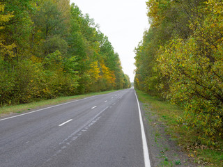 Obraz premium Autumn road