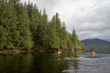 Kayakers paddling in calm water near woody shore
