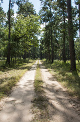 Road Less Traveled