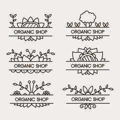 Set of logos. Vector illustration.