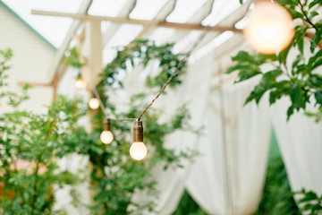 Garland lights at garden party close up