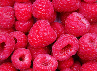 Raspberry Fuit