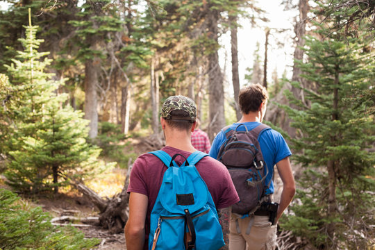 Hiking into the woods.