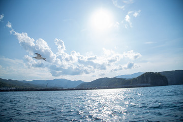 Fototapeta premium sea