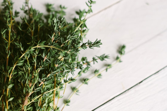 Fresh Thyme stems