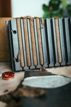 Close-up of prepared cuban cigar