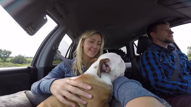 cute puppy in car with his new family gopro