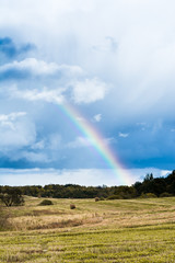autumn landscape with cloudy weather, large rainy clouds over a chamfered yellow field, the rainbow is in the sky