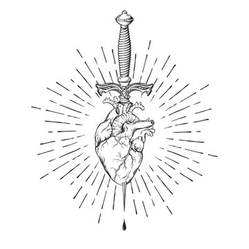 Human heart pierced with ritual dagger in rays of light isolated on white background hand drawn vector illustration. Black work, flash tattoo or print design